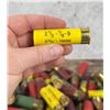 Image 5 : Group of Assorted Shotgun Shells