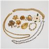 Image 1 : 12pc Brooches and Necklaces Including Marcel Boucher, Capri & Monet