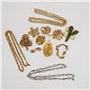 Image 2 : 12pc Brooches and Necklaces Including Marcel Boucher, Capri & Monet