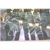 Image 2 : Metallica Band Autographed Photo w/COA