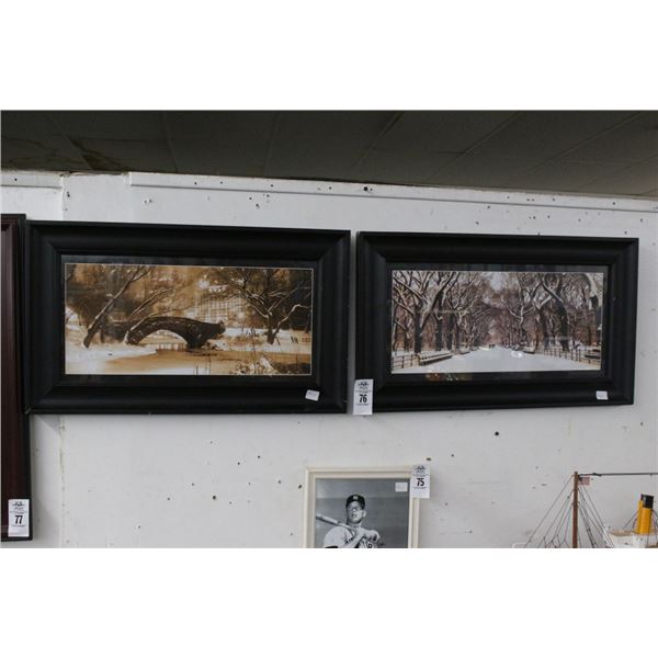 NY Central Park in Winter Vintage Framed Photos - 2