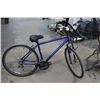 Image 1 : Diamond Marvista Large Scale Blue Mountain Bike