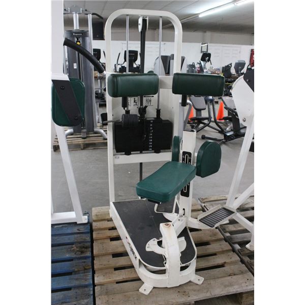 Cybex Torso Rotation Stack Weight Exercise Machine