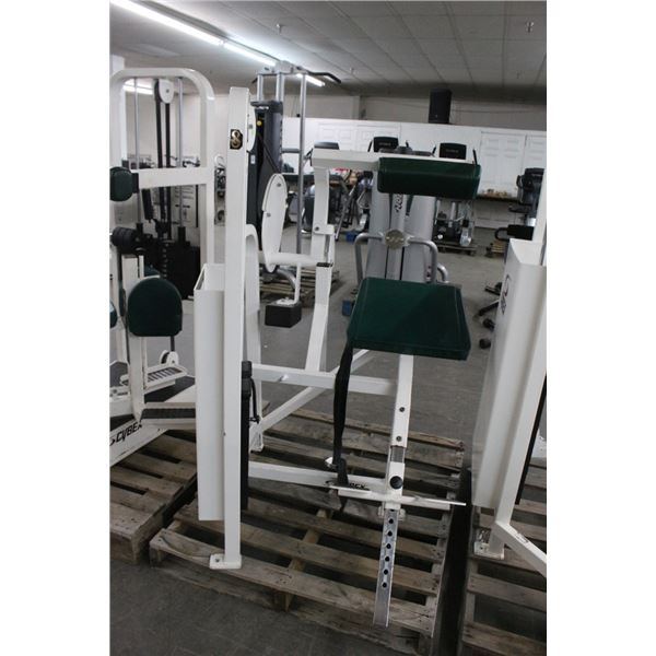 Cybex Back Extension Stack Weight Exercise Machine
