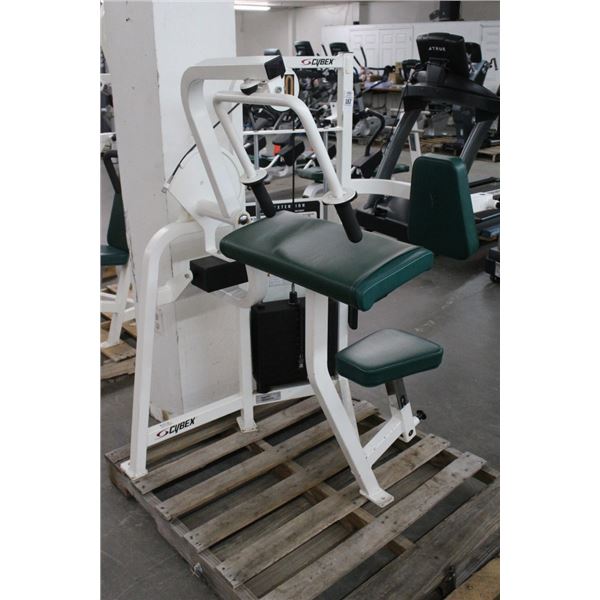 Cybex Arm Extension Stack Weight Exercise Machine