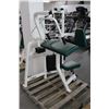 Image 1 : Cybex Arm Extension Stack Weight Exercise Machine