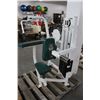 Image 2 : Cybex Arm Extension Stack Weight Exercise Machine