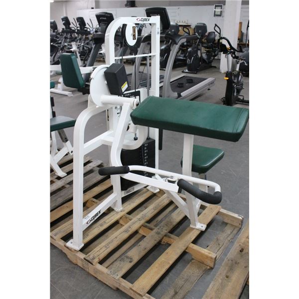 Cybex Arm Curl Stack Weight Exercise Machine