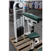 Image 1 : Cybex AB Crunch Stack Weight Exercise Machine
