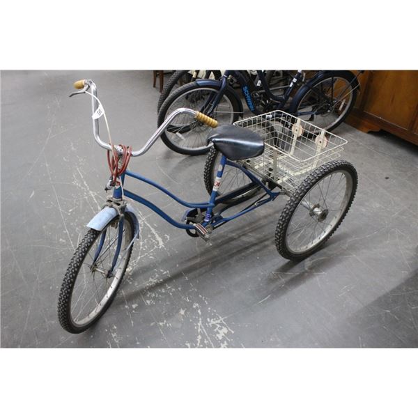 3 Wheel Bike w/Cargo Bin