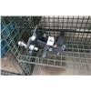 Image 1 : Heavy Duty Hitch Sleeve w/Sway Bar Set Up