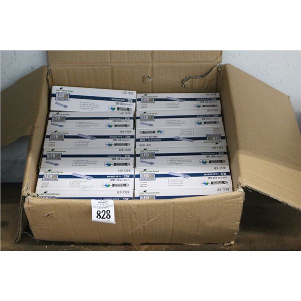 Box w/LED Light Bulbs