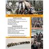 Image 1 : Flooded Timber Waterfowl for 2 Hunters 3 hunts included!