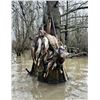 Image 2 : Flooded Timber Waterfowl for 2 Hunters 3 hunts included!