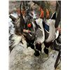 Image 5 : Flooded Timber Waterfowl for 2 Hunters 3 hunts included!