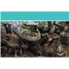 Image 2 : AUSTRALIA BUFFALO HUNT FOR 2 HUNTERS, INLCUDING BUFFALO CAW AND WILDBOAR