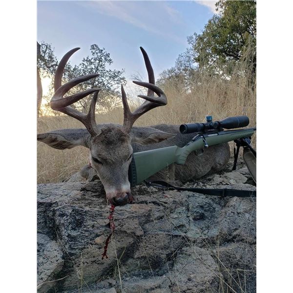 Old Mexico Coues Deer Hunt for 1