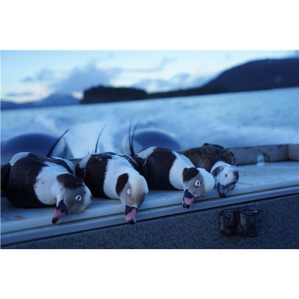 Alaska Sea Duck Hunt for Two