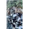 Image 3 : Alaska Sea Duck Hunt for Two