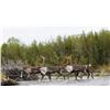 Image 1 : Caribou Float hunt in Alaska for August of 2028
