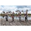 Image 2 : Caribou Float hunt in Alaska for August of 2028