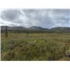 Image 4 : Caribou Float hunt in Alaska for August of 2028