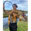 Image 4 : The Ultimate Florida Slam for 2! Gator, Iguana, Hogs, and Fishing included in 3 days!