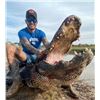 Image 6 : The Ultimate Florida Slam for 2! Gator, Iguana, Hogs, and Fishing included in 3 days!
