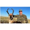 Image 4 : Eastern Montana Antelope hunt with an abundance of Private Land