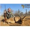 Image 1 : Plains Game Hunt in South Africa.