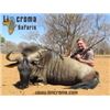 Image 2 : Plains Game Hunt in South Africa.