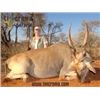 Image 4 : Plains Game Hunt in South Africa.
