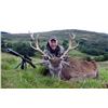 Image 4 : Red Stag Hunt in Scotland.