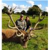 Image 7 : Red Stag Hunt in Scotland.