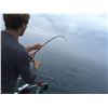 Image 2 : Go Walleye fishing on Lake Erie