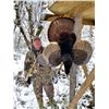 Image 1 : Eastern Turkey Hunt in Iowa.