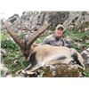 Image 1 : Hunt Southeastern Ibex in Spain with Corju Hunting.