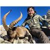Image 3 : Hunt Southeastern Ibex in Spain with Corju Hunting.