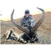 Image 5 : Hunt Southeastern Ibex in Spain with Corju Hunting.