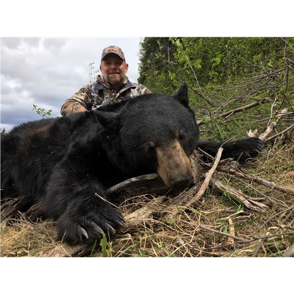 British Columbia Spring Black Bear for Two Hunters!