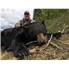 Image 1 : British Columbia Spring Black Bear for Two Hunters!