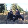 Image 3 : British Columbia Spring Black Bear for Two Hunters!