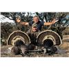 Image 1 : Gould’s Turkey Hunt.