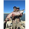Image 4 : North Dakota Walleye Fishing Adventure.