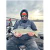 Image 6 : North Dakota Walleye Fishing Adventure.