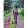 Image 7 : Ireland Sika Stag for 1 Hunter.
