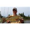 Image 3 : Fishing Trip to NW Ontario with Pine Sunset Lodge.