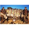 Image 2 : Sandhill Crane Hunt in Texas for Two Hunters.