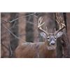 Image 1 : Iowa Governor's Special Nonresident Deer License.