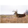 Image 3 : Iowa Governor's Special Nonresident Deer License.